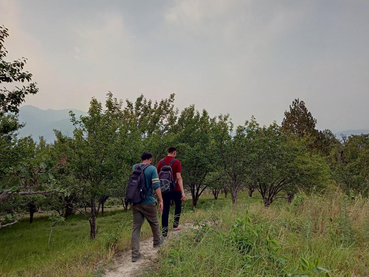 Vista Hostel Jeolikote, Nainital Patwa Dunga ภายนอก รูปภาพ