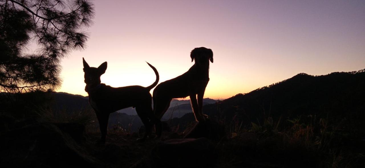 Vista Hostel Jeolikote, Nainital Patwa Dunga ภายนอก รูปภาพ